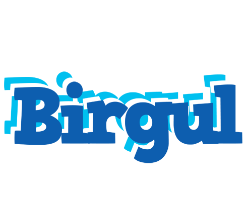 Birgul business logo