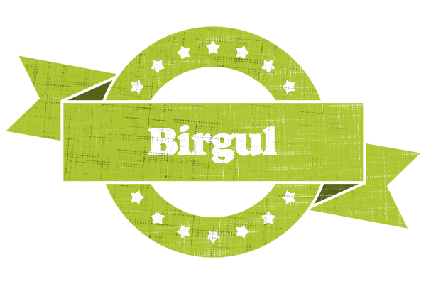 Birgul change logo