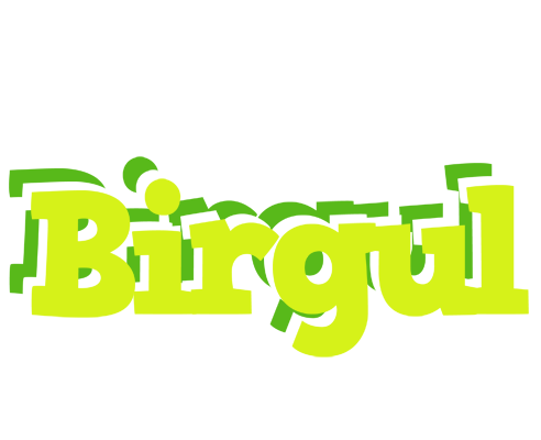 Birgul citrus logo