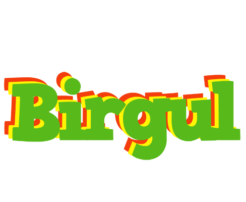 Birgul crocodile logo