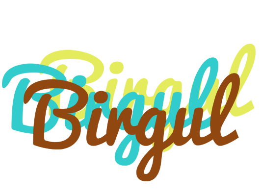 Birgul cupcake logo