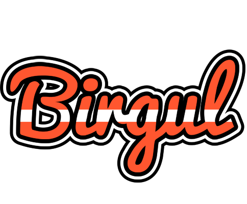 Birgul denmark logo