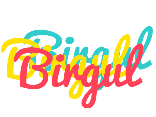 Birgul disco logo
