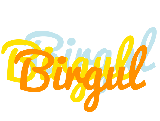 Birgul energy logo
