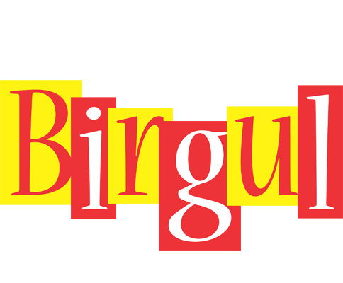 Birgul errors logo