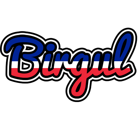 Birgul france logo