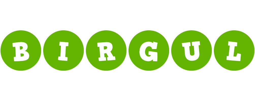 Birgul games logo