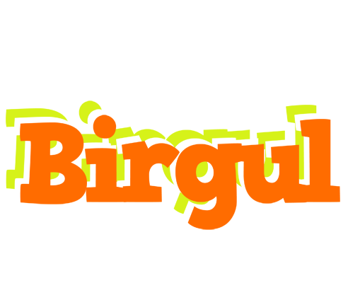Birgul healthy logo
