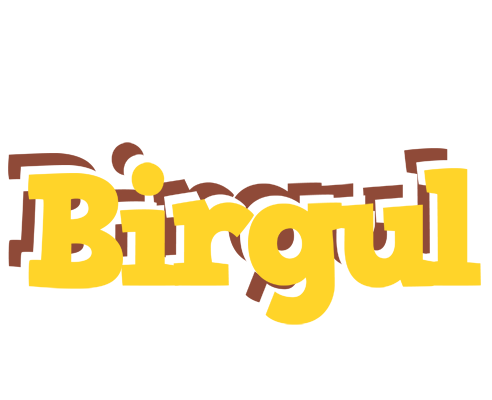 Birgul hotcup logo