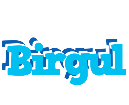 Birgul jacuzzi logo