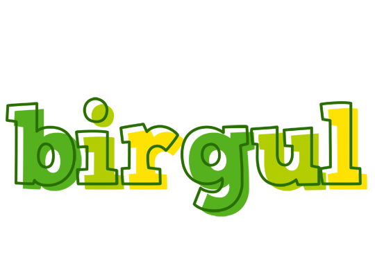 Birgul juice logo