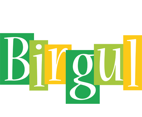 Birgul lemonade logo