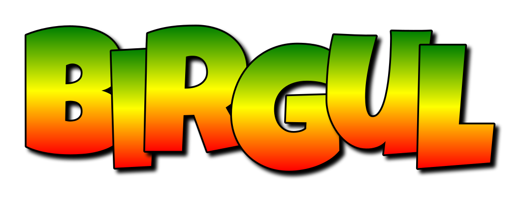 Birgul mango logo