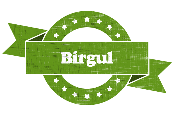 Birgul natural logo