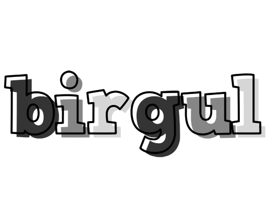 Birgul night logo