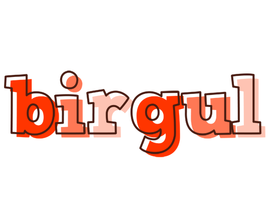 Birgul paint logo