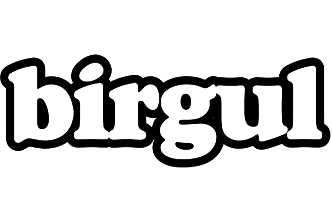 Birgul panda logo