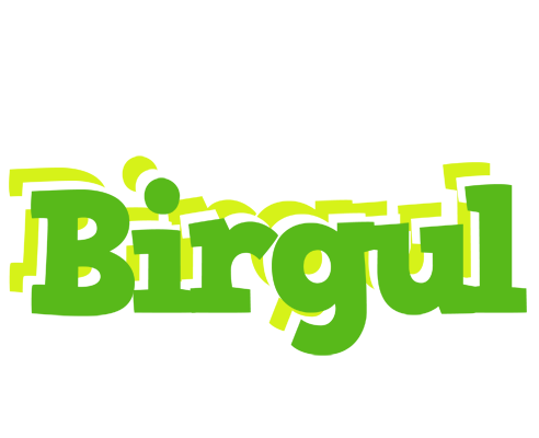 Birgul picnic logo