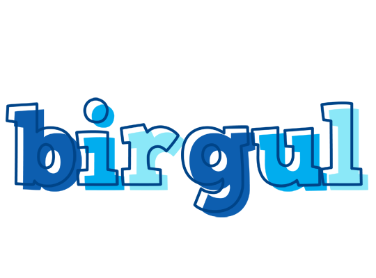 Birgul sailor logo