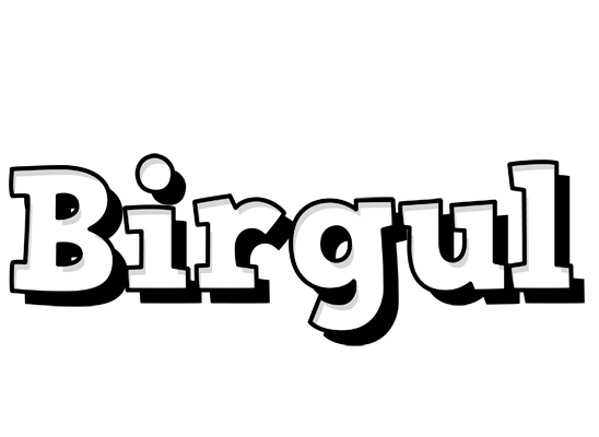 Birgul snowing logo