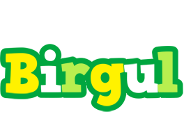 Birgul soccer logo