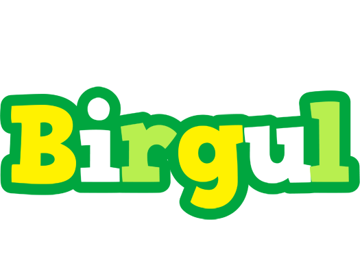 Birgul soccer logo