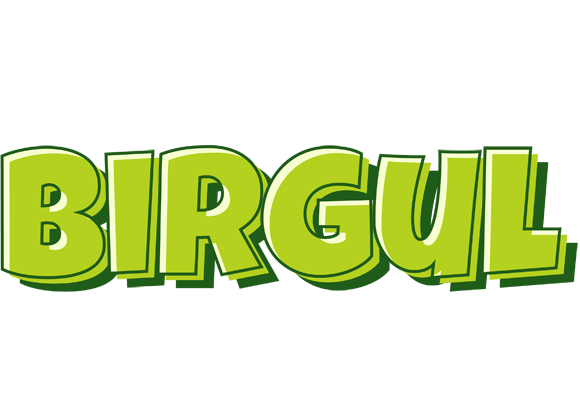 Birgul summer logo