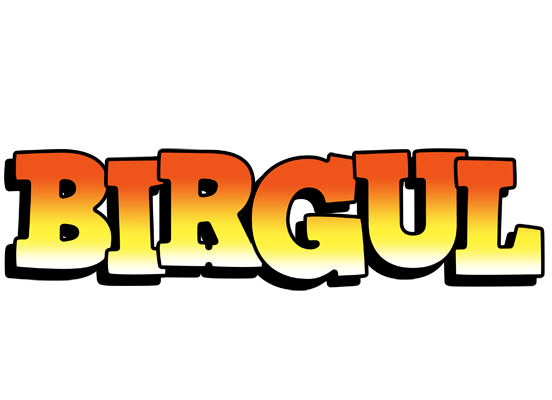 Birgul sunset logo