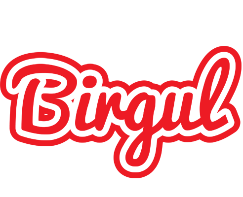 Birgul sunshine logo