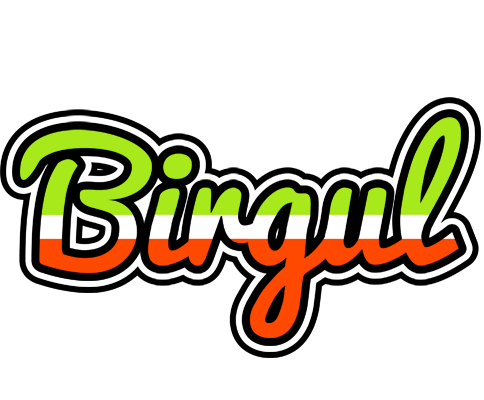 Birgul superfun logo