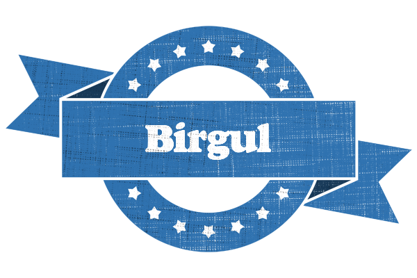 Birgul trust logo