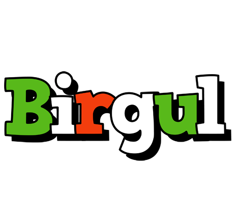 Birgul venezia logo