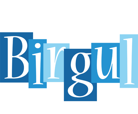 Birgul winter logo