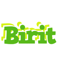 Birit picnic logo