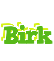 Birk picnic logo