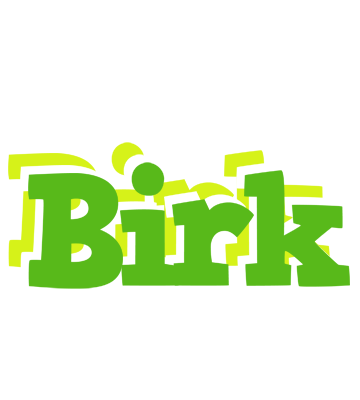 Birk picnic logo