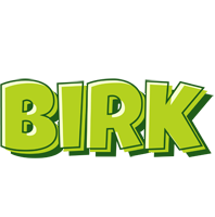 Birk summer logo