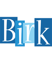 Birk winter logo