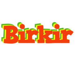 Birkir bbq logo