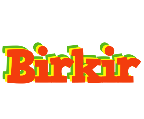 Birkir bbq logo
