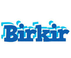 Birkir business logo