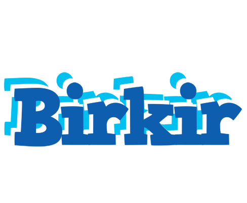Birkir business logo