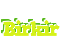 Birkir citrus logo