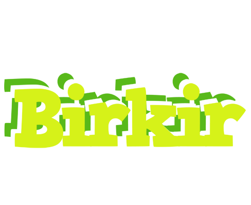 Birkir citrus logo