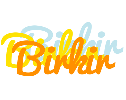 Birkir energy logo