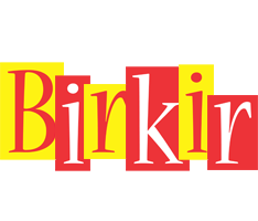 Birkir errors logo