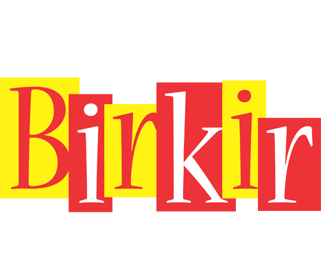 Birkir errors logo