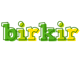 Birkir juice logo