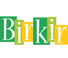 Birkir lemonade logo