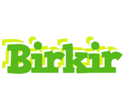 Birkir picnic logo